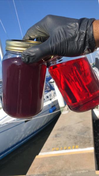 Fuel and Polishing Service Before and After